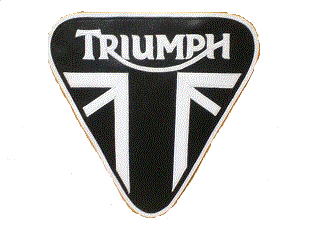 Hinckley Triumph leather striped patent plate 10" patch